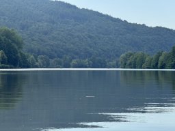Mainschwimmen Juni 2026